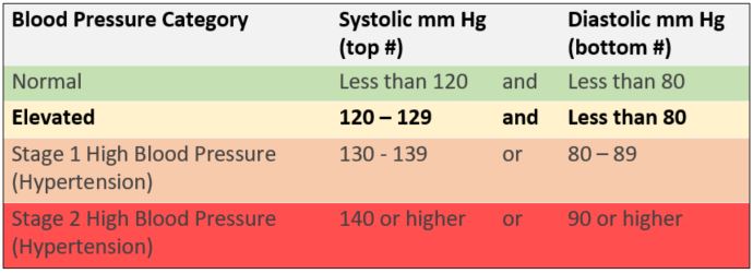 What Is Elevated Blood Pressure? - Pals